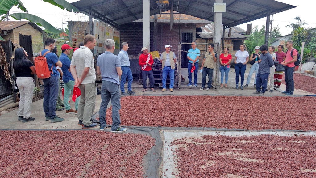 Cocoa beans drying at the cocoa cooperative SUMAQAO in the Lurin District of Peru.