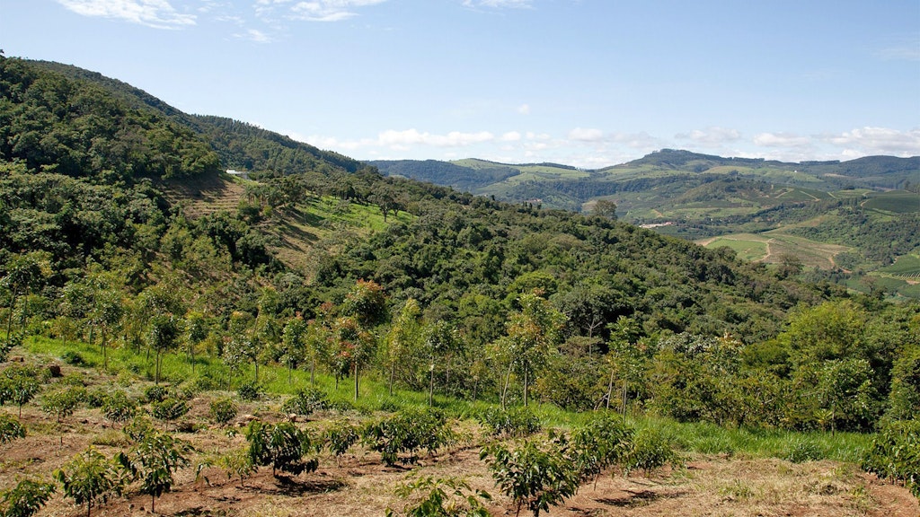 Monitoring land health in agricultural landscapes