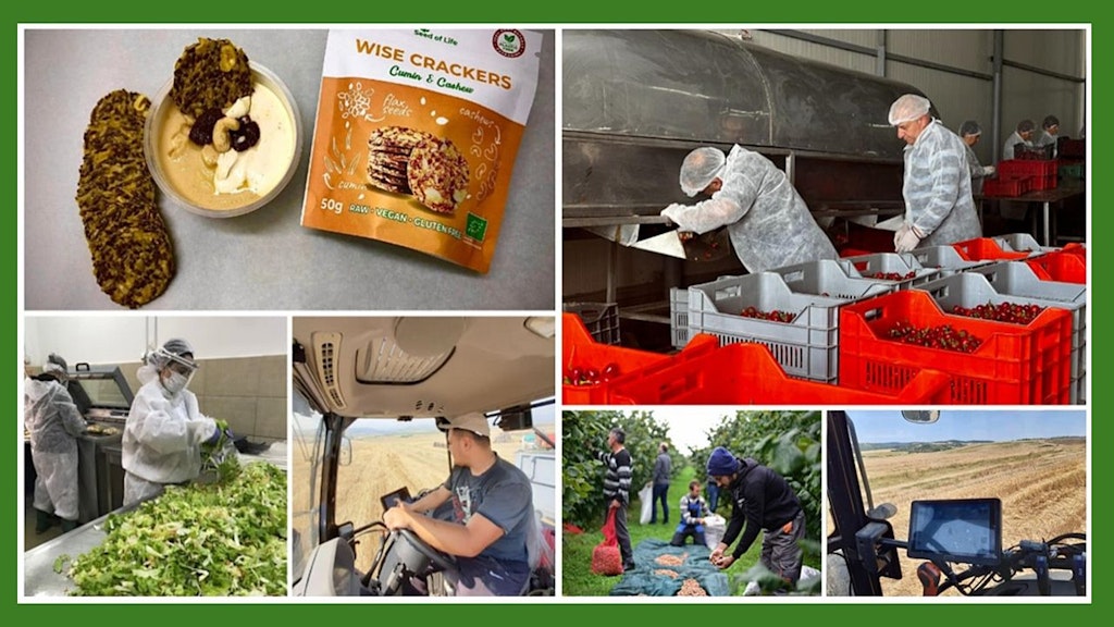 Examples of green practices of agribusinesses.