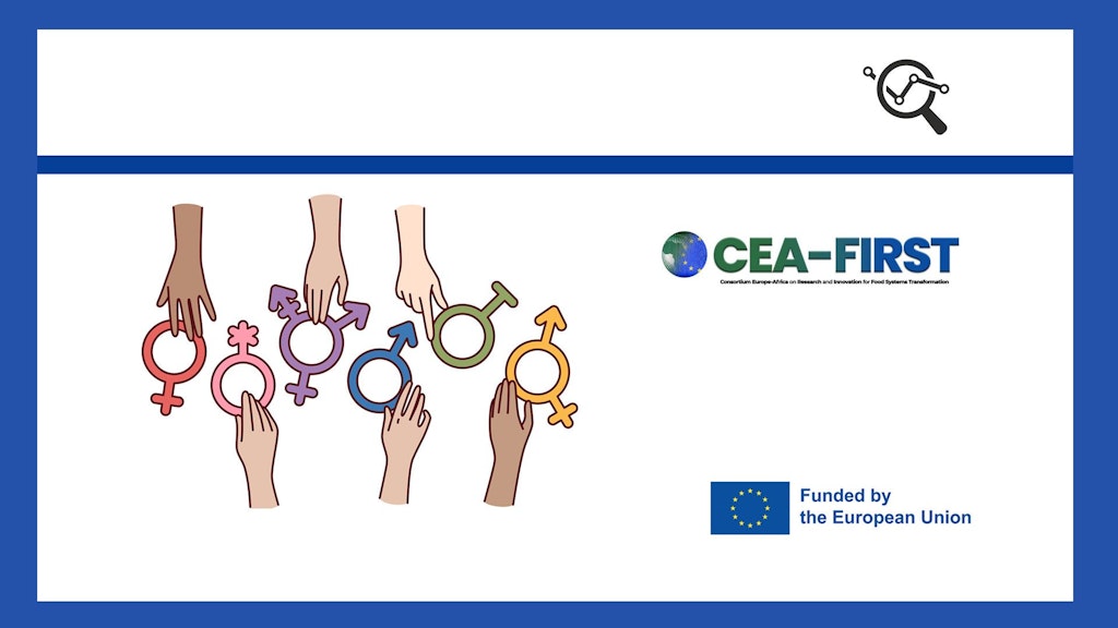 CEA-FIRST Gender and Youth Strategy