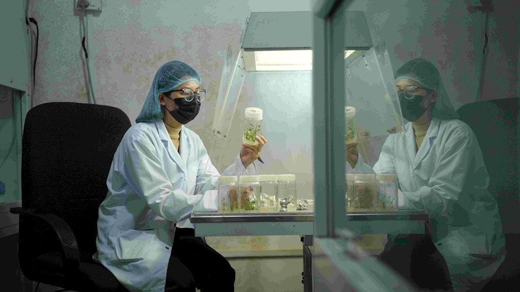 Mankshood Krishi Firm Lab