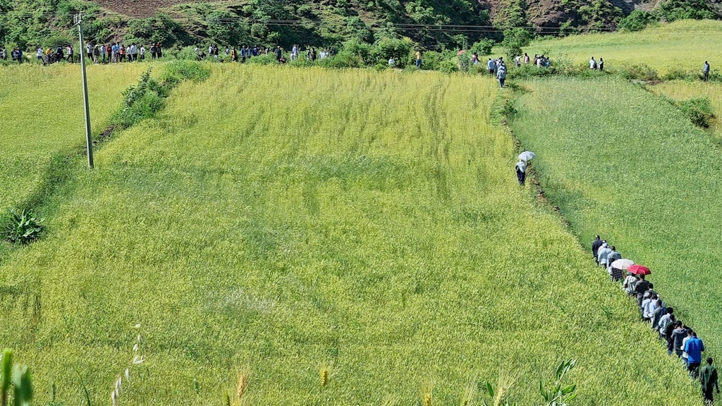 Field visit on improved wheat crop production