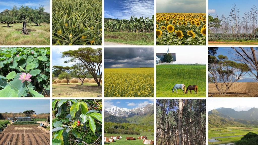 Guidelines for classifying agricultural and plantation forestry ecosystems in the IUCN Global Ecosystem Typology