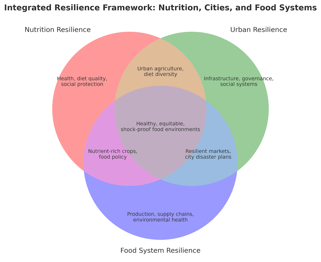 Integrated Resilience Framework