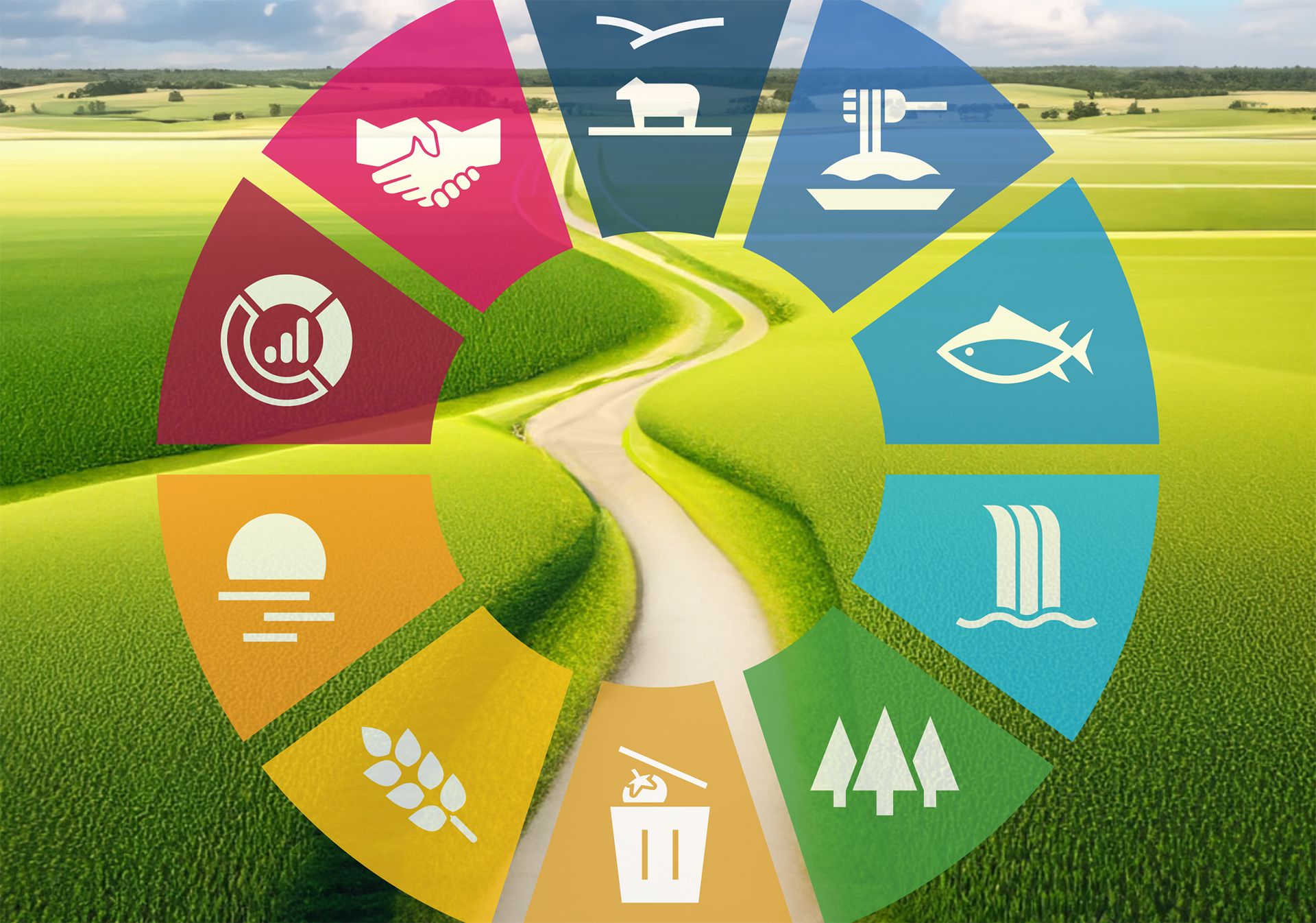 FAO Report Title Image