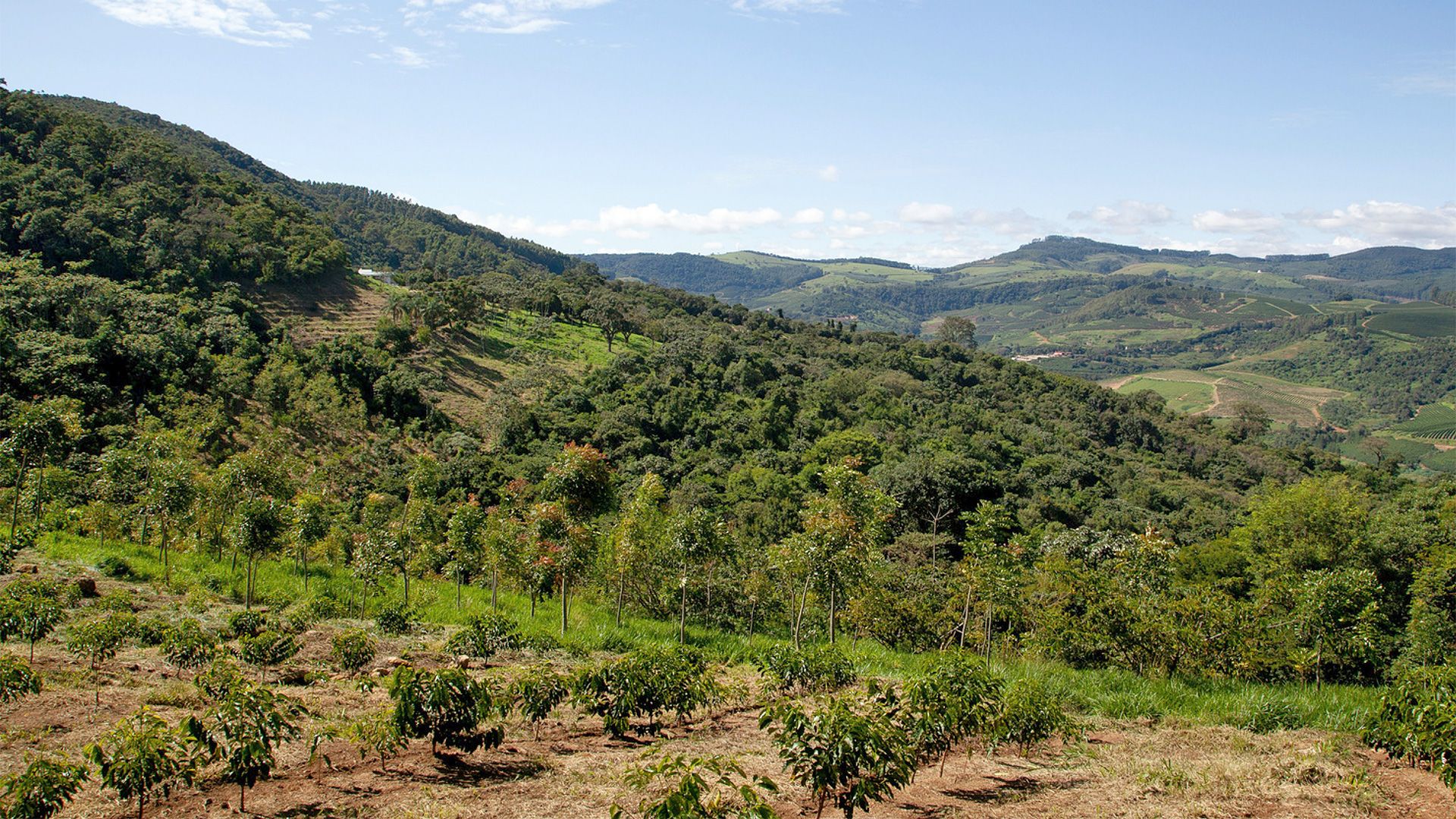 Monitoring land health in agricultural landscapes