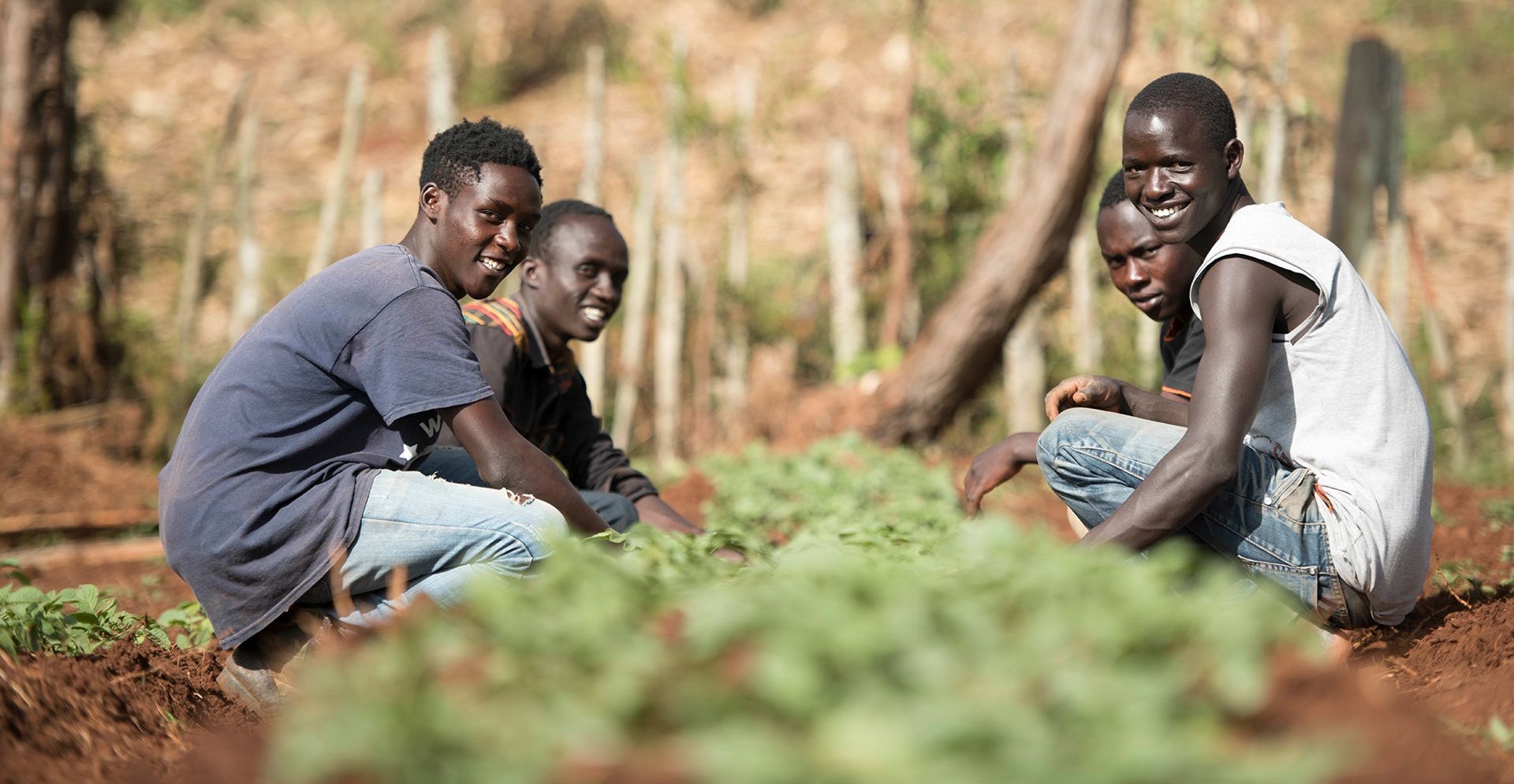 Potato work in the North Rift (Kenya)