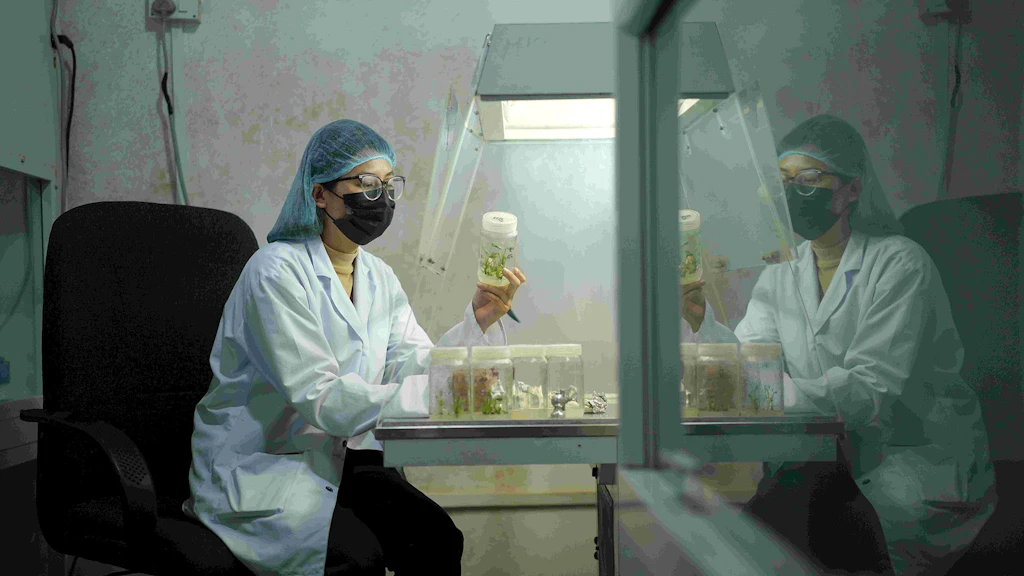 Mankshood Krishi Firm Lab