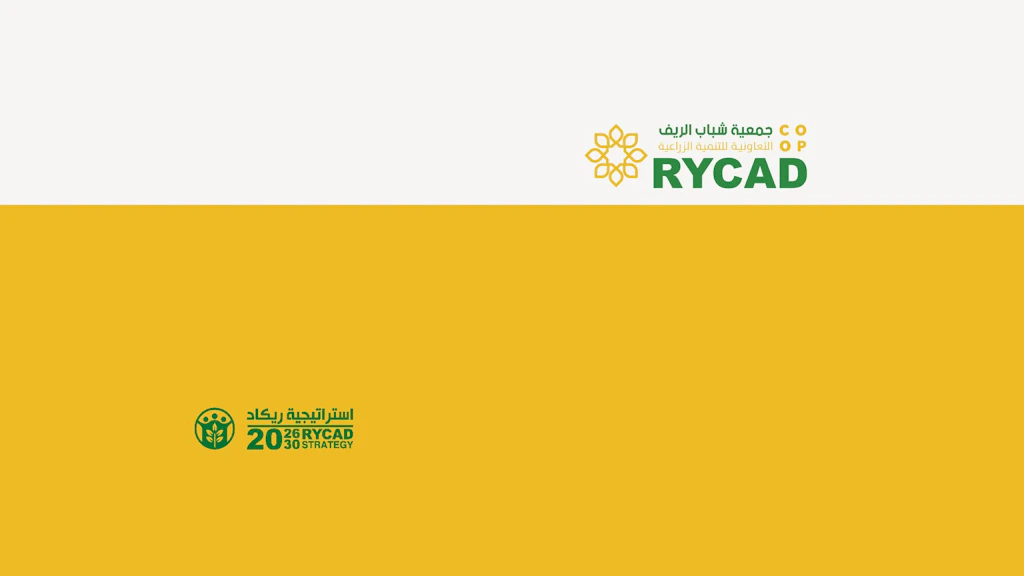 RYCAD Strategy