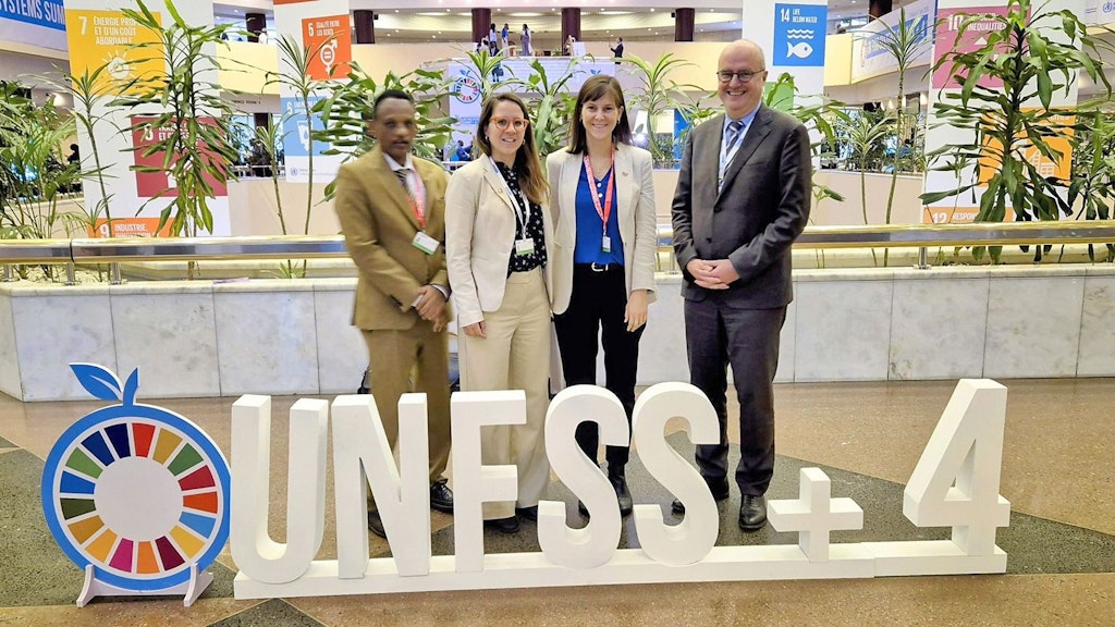 Swiss Delegation at UNFSS+4
