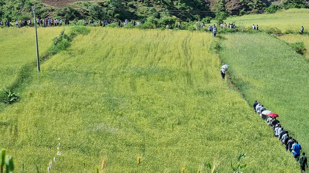 Field visit on improved wheat crop production