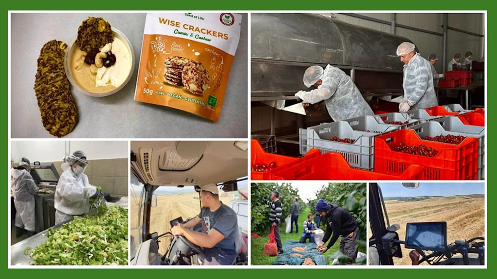 Examples of green practices of agribusinesses.