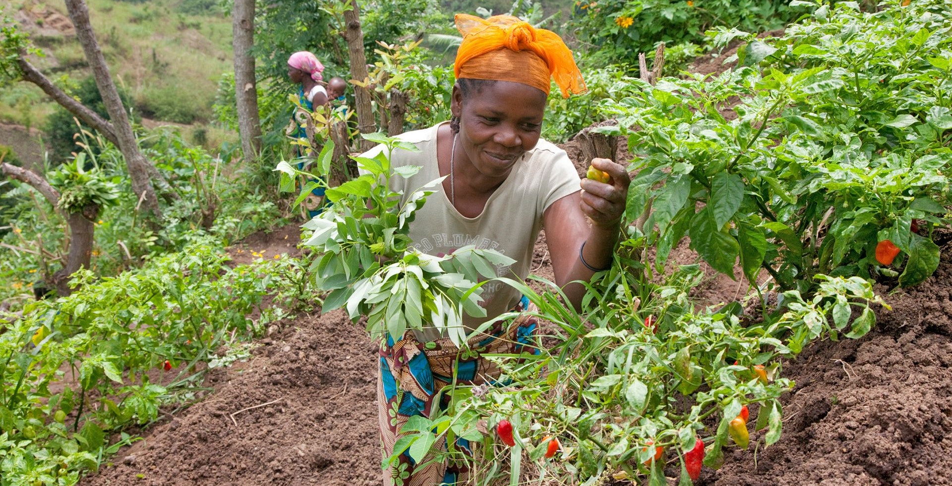 Hadija Kibwana and her farmer group were trained in organic farming methods supported by Sustainable Agriculture Tanzania (SAT) and Biovision
