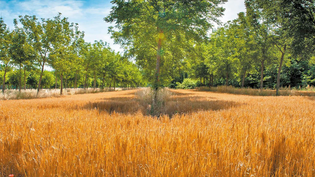Nature-based Solutions for food security in France