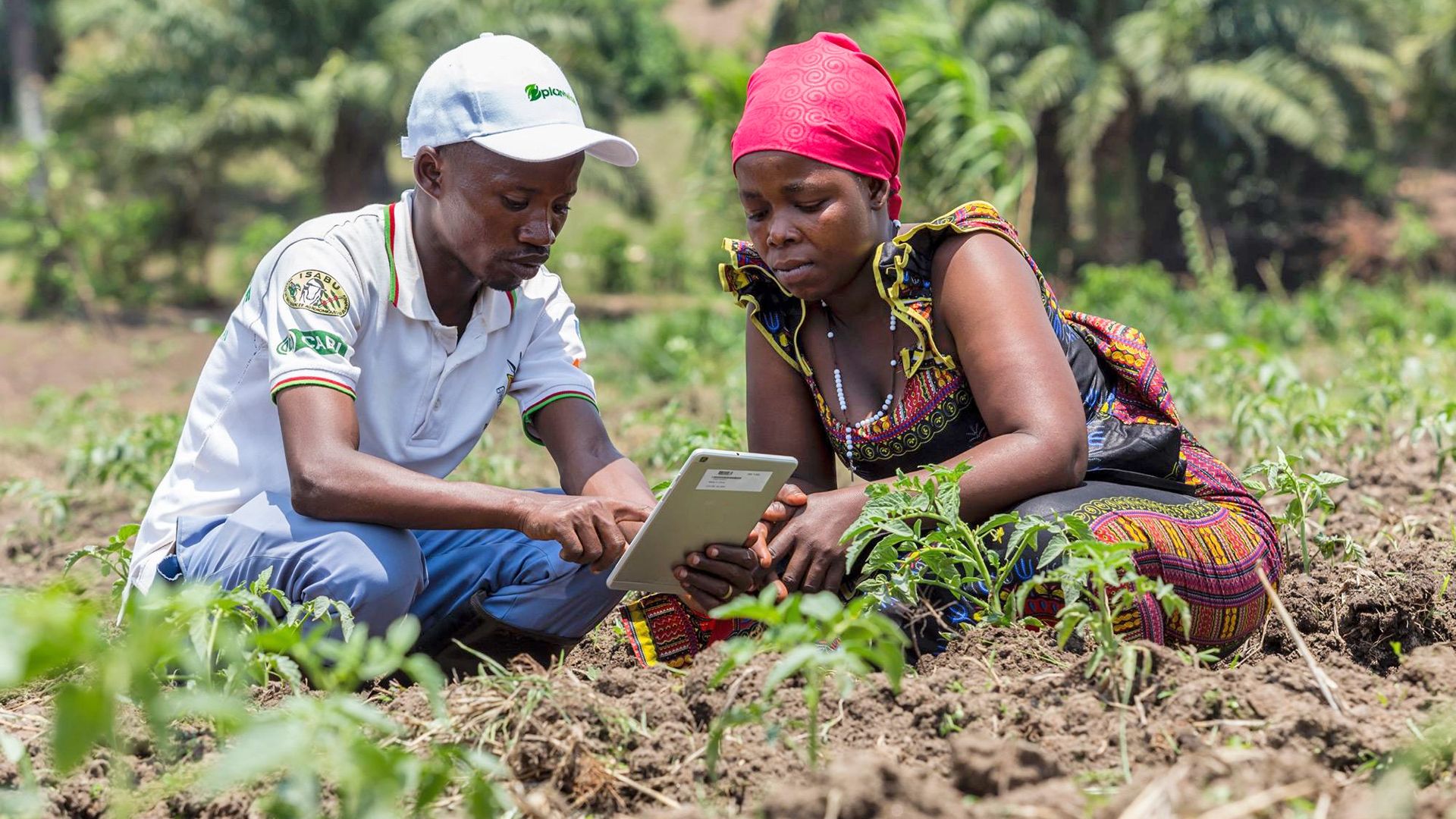 A Plantwise plant doctor advises a farmer in Burundi on how to protect her crop from pests and diseases